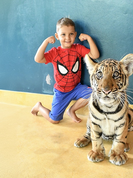 Child posing with tiger cub at Tiger Park Pattaya.