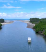 Cape Tribulation