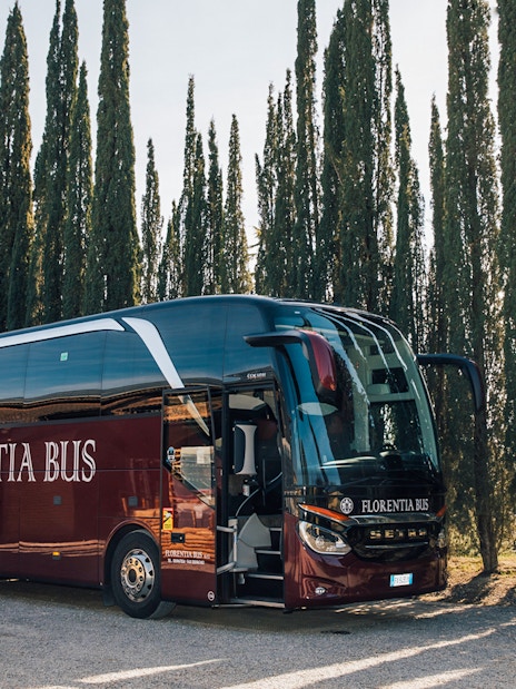 Tour bus parked among cypress trees in Tuscany, Italy.