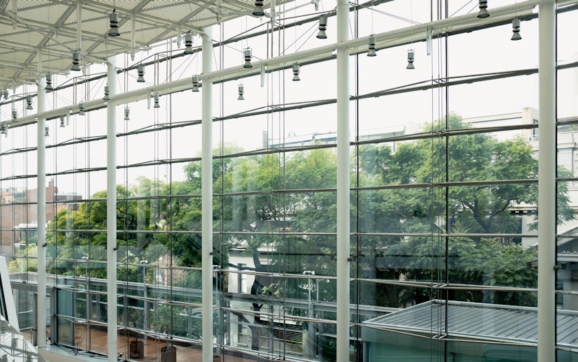 Glass facade of the Museum of Latin American Art (MALBA) interior with trees visible outside.