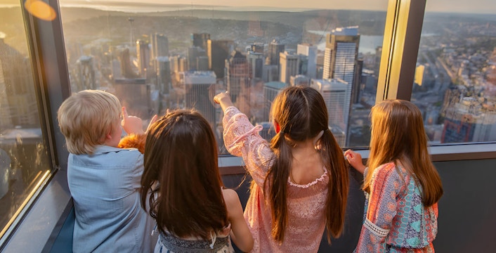 Sky View Observatory