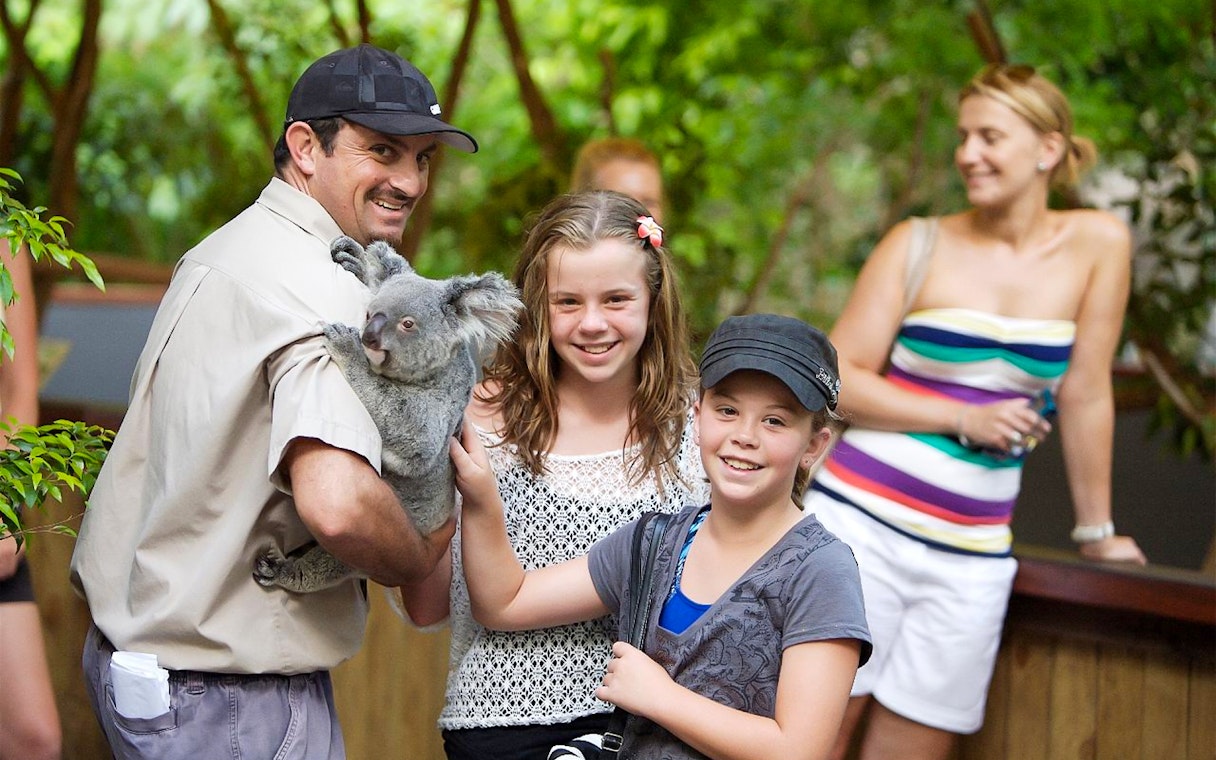 Guide holding a koala with children at Hartley's Crocodile Adventures.