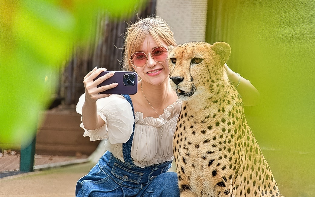 Visitor taking a selfie with a cheetah at Tiger Kingdom experience.