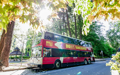 Big Bus Vancouver parked on a tree-lined street in a sunny park setting.
