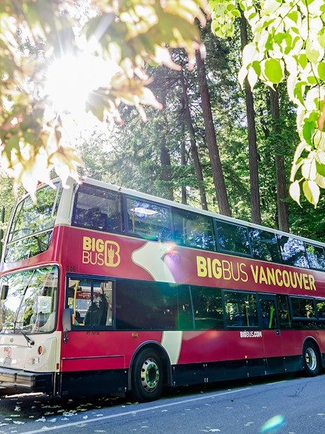 Big Bus Vancouver parked on a tree-lined street in a sunny park setting.