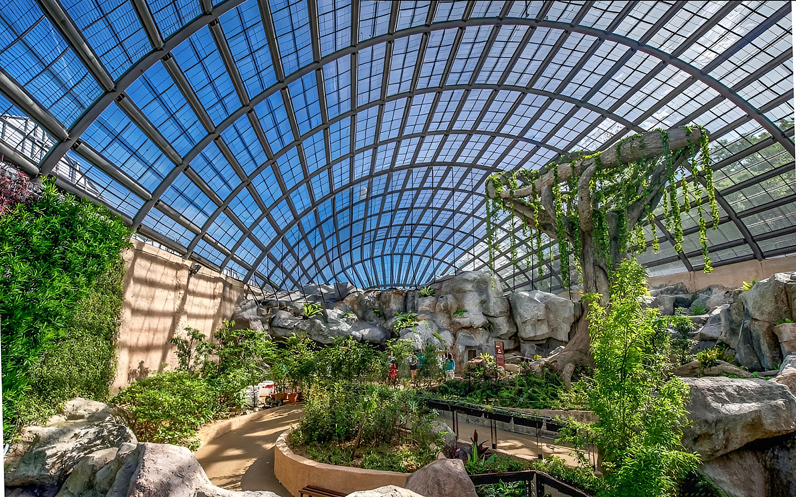 Entopia by Penang Butterfly Farm interior with lush greenery and large glass dome.