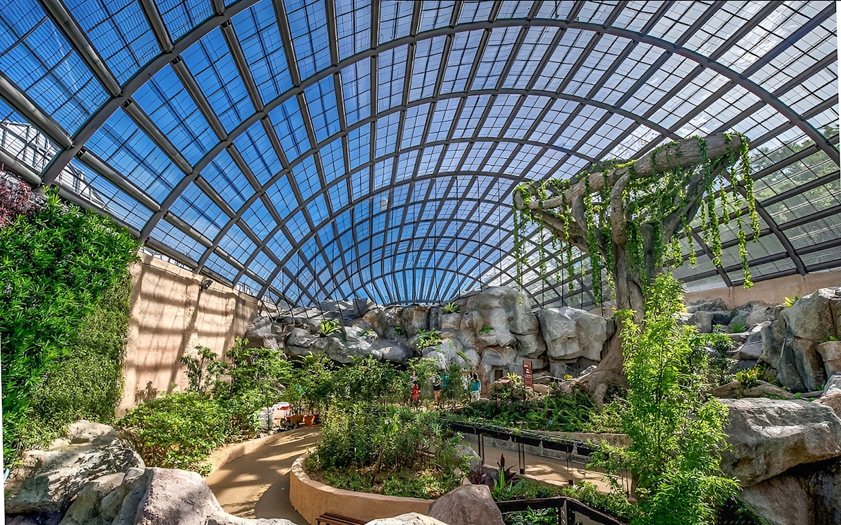 Entopia by Penang Butterfly Farm interior with lush greenery and large glass dome.