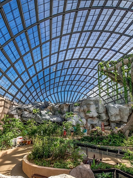 Entopia by Penang Butterfly Farm interior with lush greenery and large glass dome.