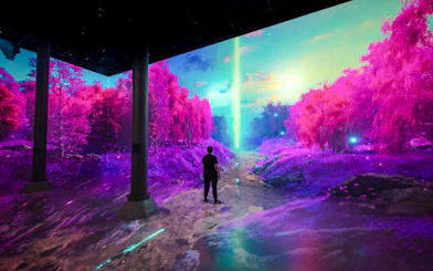 Guest exploring immersive digital art installation at ARTECHOUSE DC.