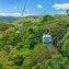 Skyrail Rainforest Cableway