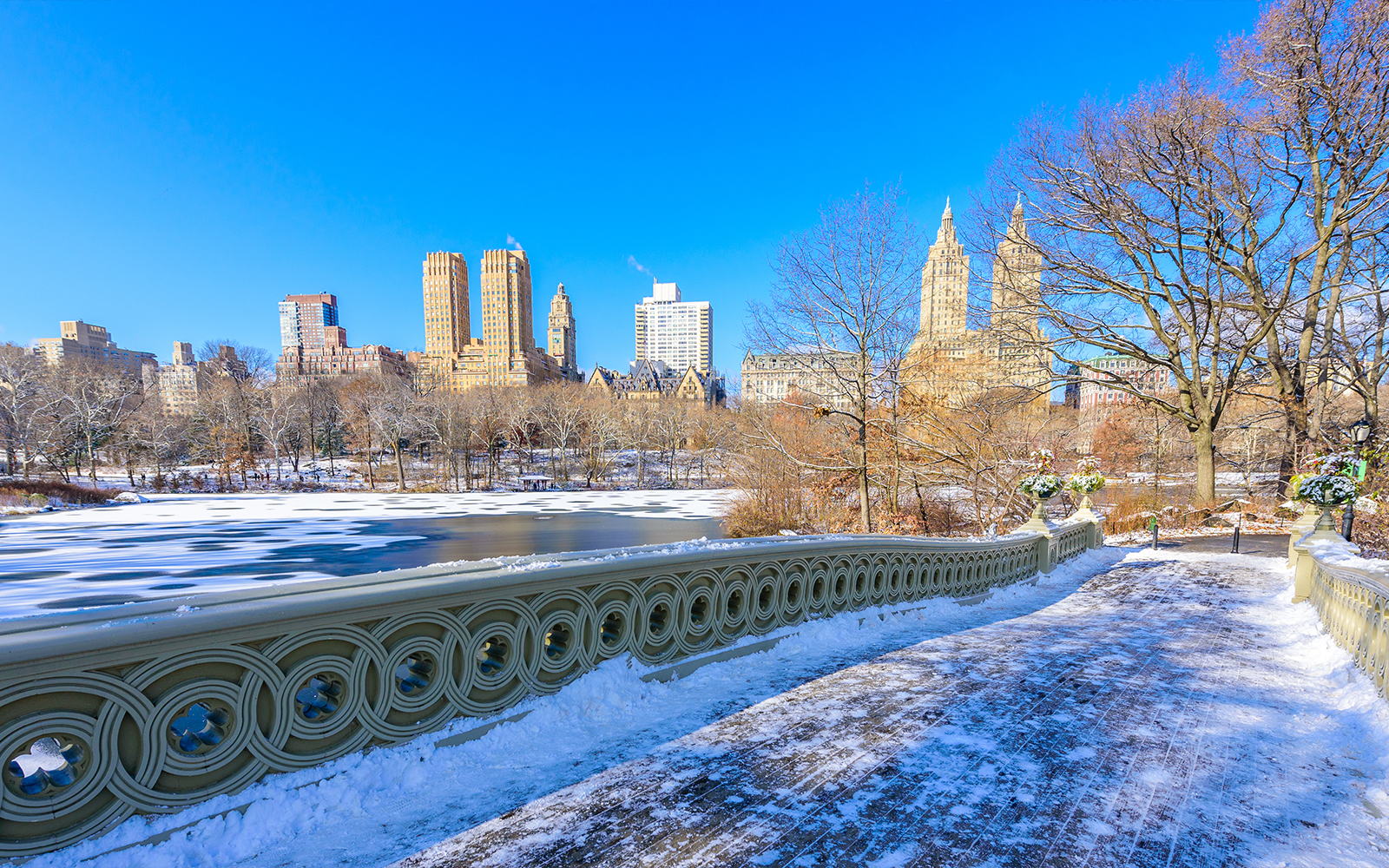 Traveling to New York in February: A Complete Guide for Your Winter Escape