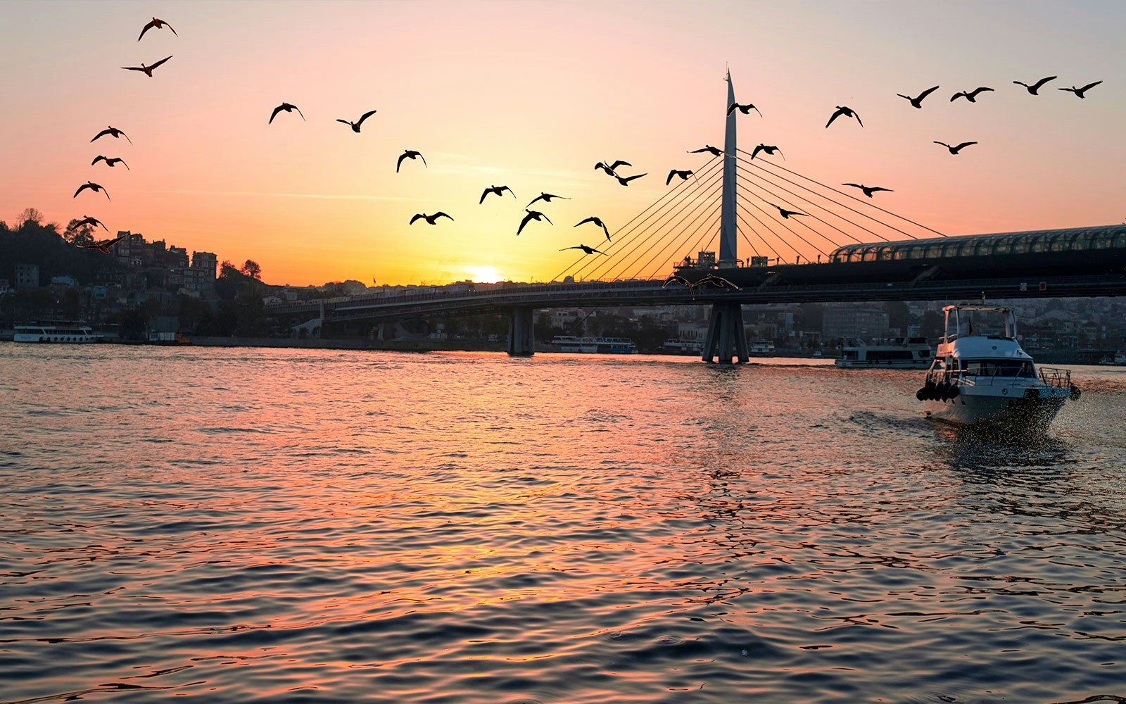 Bosphorus Bridge