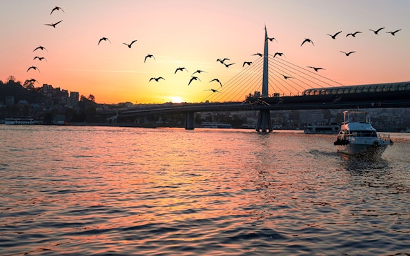 Bosphorus Bridge at sunset with yacht and birds during Golden Horn cruise.