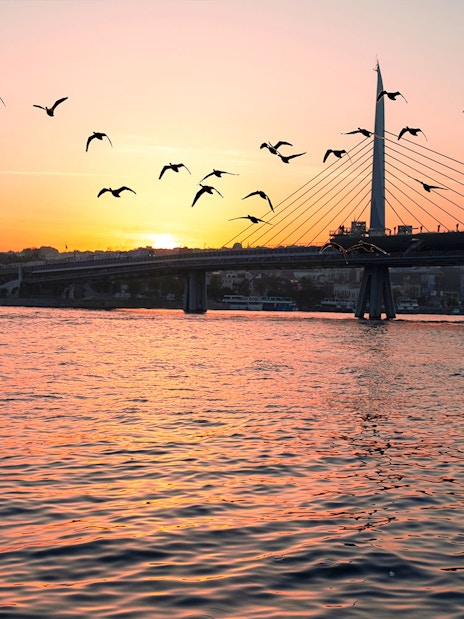 Bosphorus Bridge at sunset with yacht and birds during Golden Horn cruise.