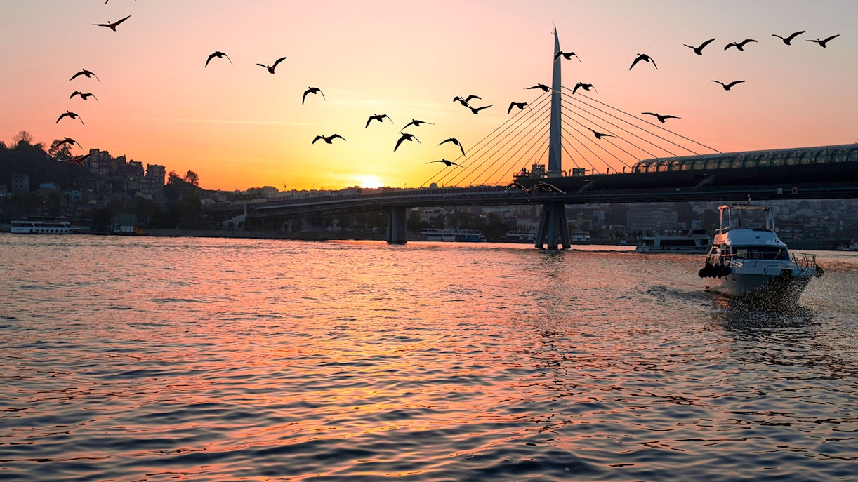Bosphorus Bridge at sunset with yacht and birds during Golden Horn cruise.