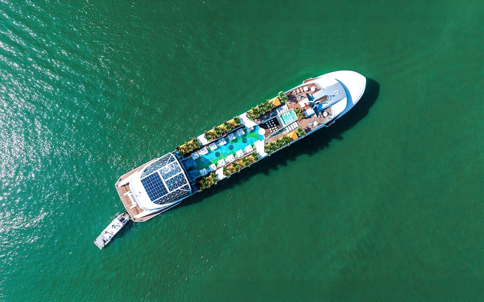 Aerial view of a cruise ship deck with pool and lounge chairs on a dolphin cruise.
