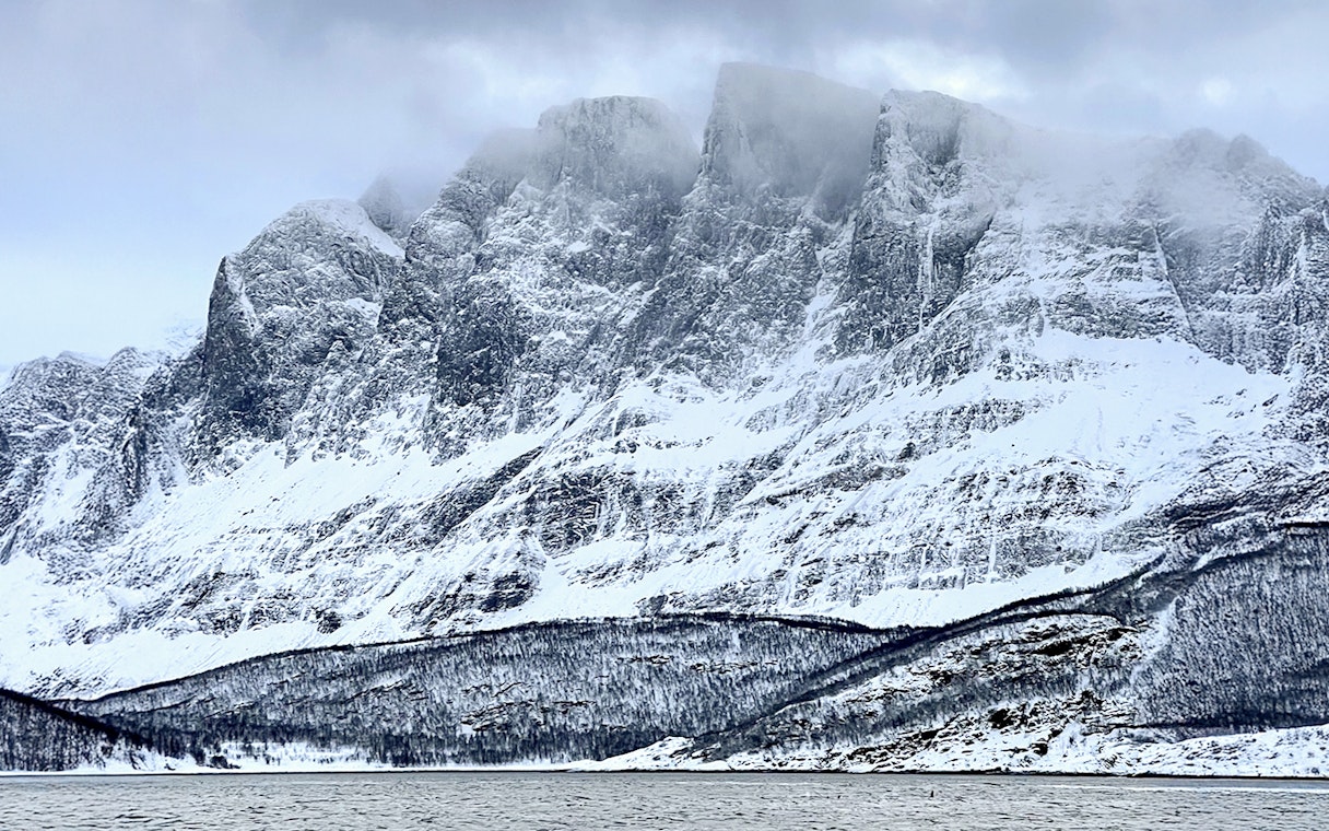 Snow-covered mountains in Skjervøy, Norway, with misty peaks and a forested shoreline.