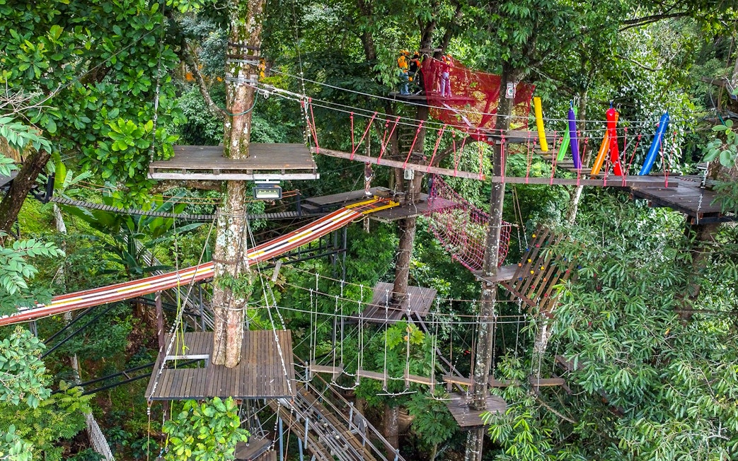 Hanging bridges in Pong Yang Jungle Coaster & Zipline amidst lush forest.