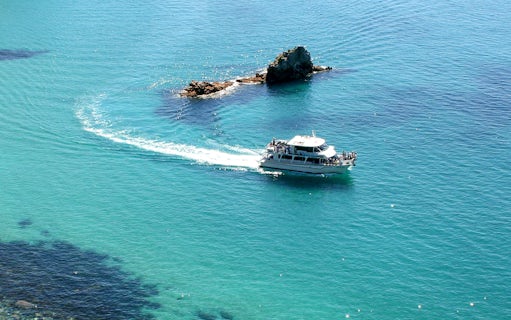 Cruise boat near Cape Woolamai rock formations, Phillip Island.