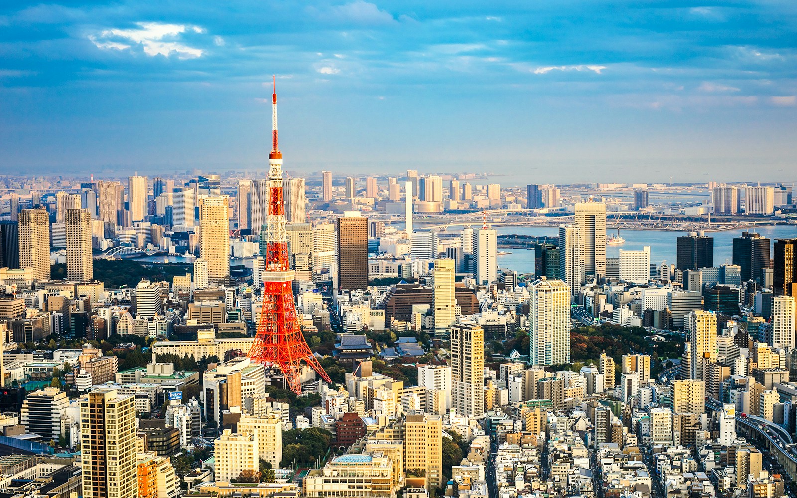 View of Tokyo Tower from Tokyo Skytree, showcasing the cityscape of Tokyo, Japan.