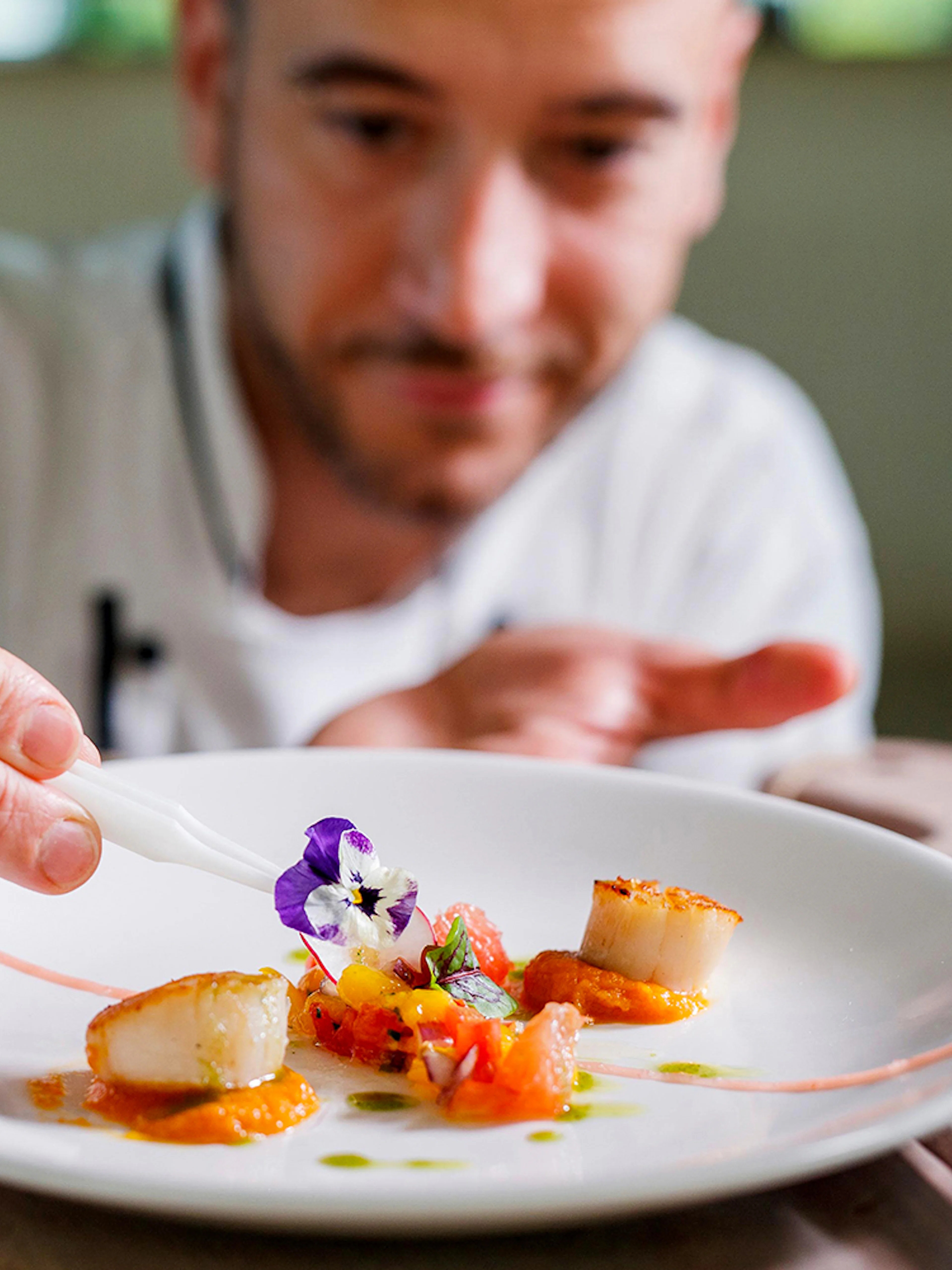 Chef garnishing dish on Vivid Sydney dinner cruise.