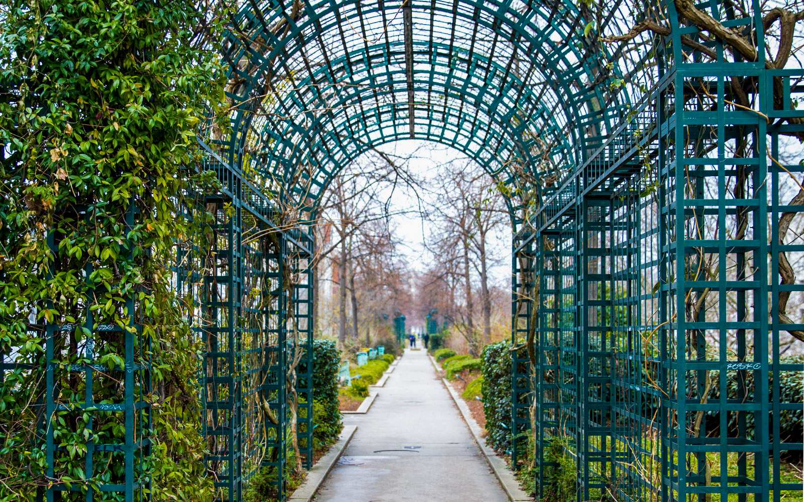 best things to do in paris