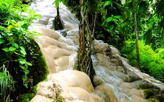 fra chiang mai: tur til sticky-fossen med privat sjåfør-3