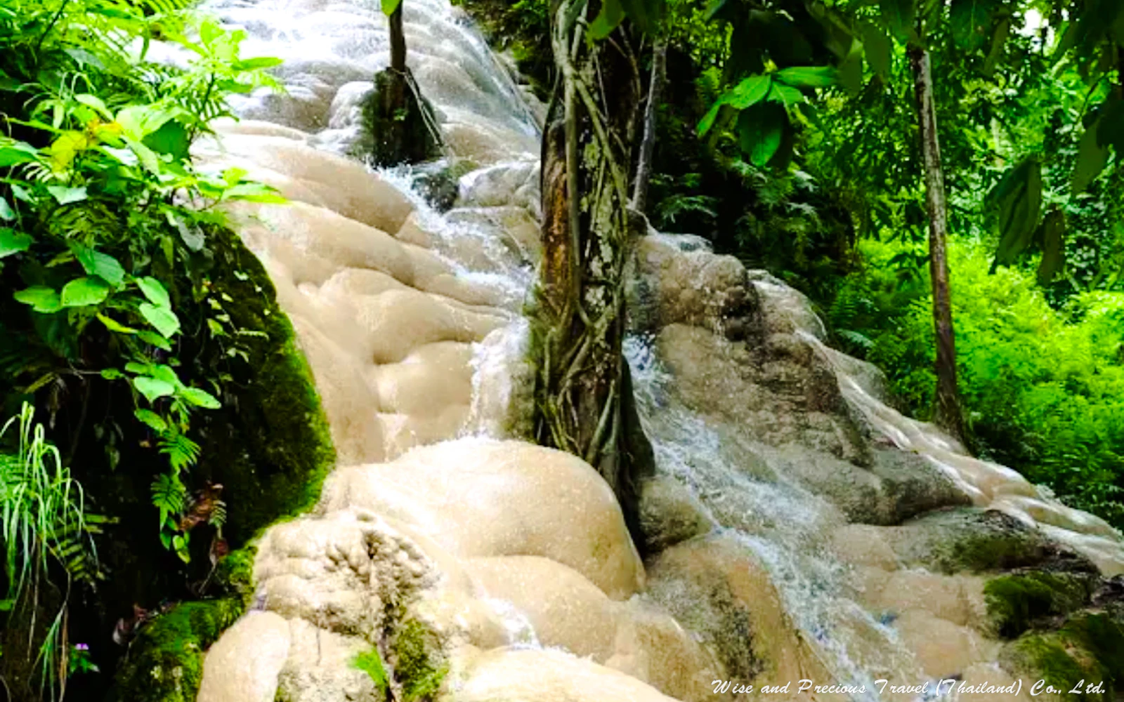 From Chiang Mai: Sticky Waterfall Tour with Private Driver Image 3