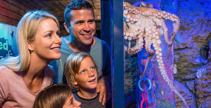 SEA LIFE Sunshine Coast