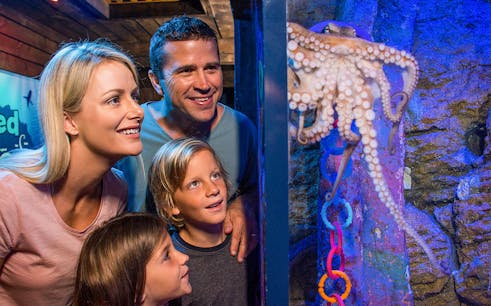 entry tickets to sea life sunshine coast-1
