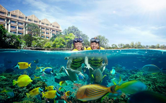 Snorkelers exploring vibrant marine life at Singapore Oceanarium.