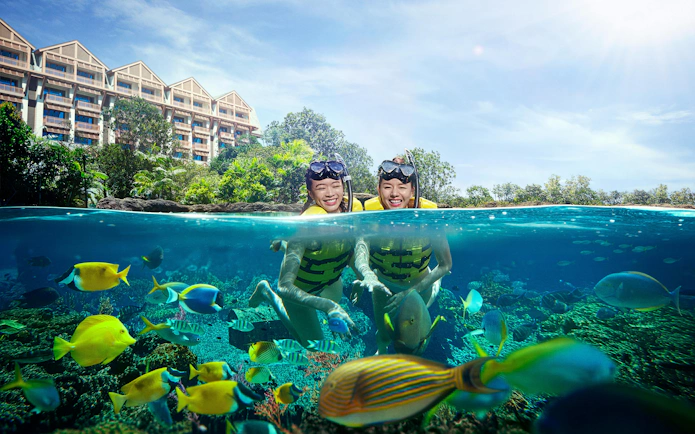 Snorkelers exploring vibrant marine life at Singapore Oceanarium.