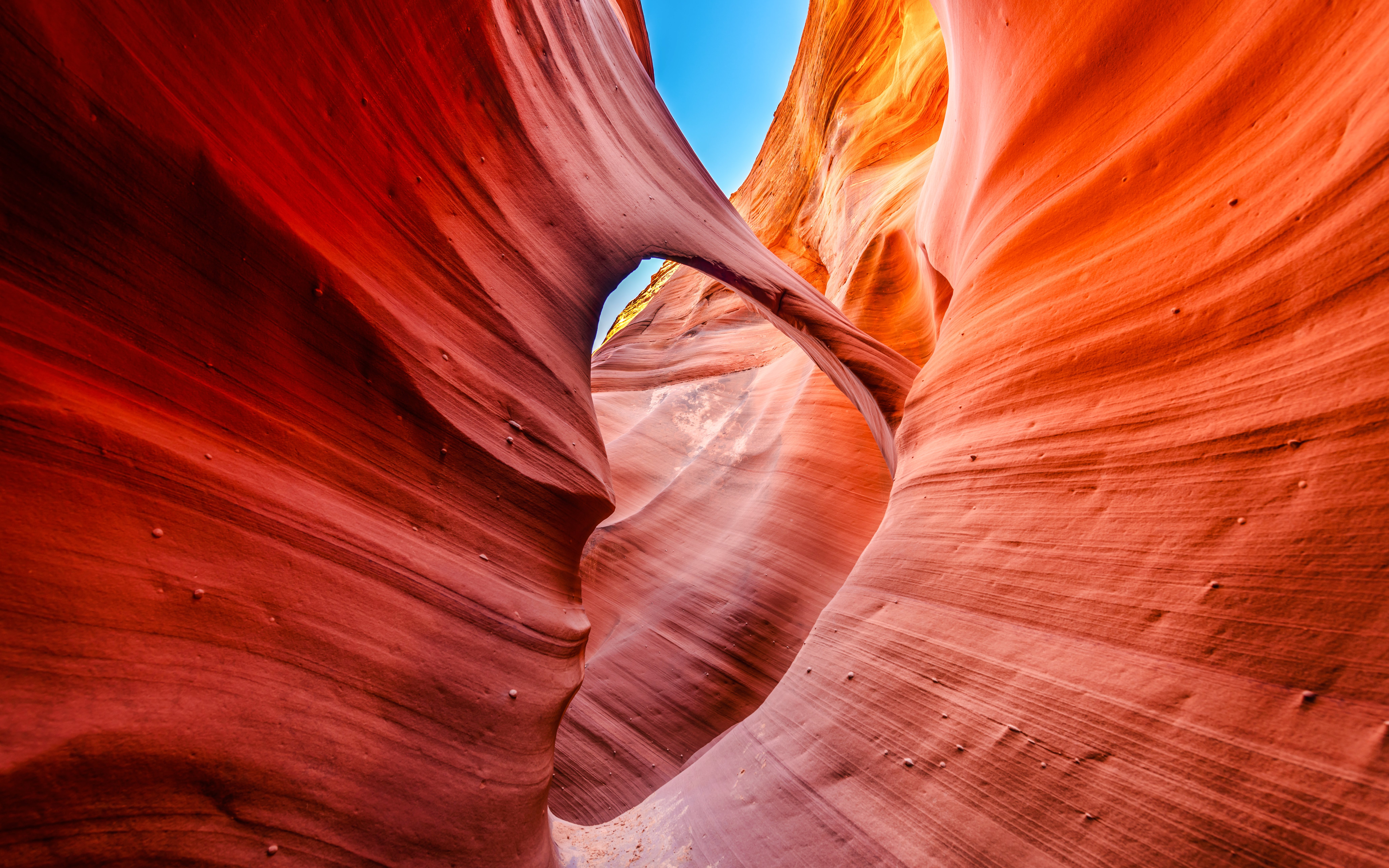 Curved sandstone walls in Rattlesnake Canyon, Arizona, with vibrant red hues.