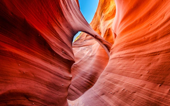 Curved sandstone walls in Rattlesnake Canyon, Arizona, with vibrant red hues.