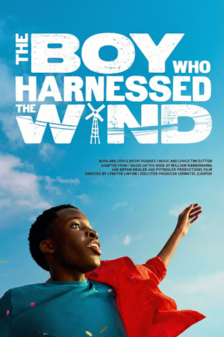 Il ragazzo che imbrigliava il vento product image