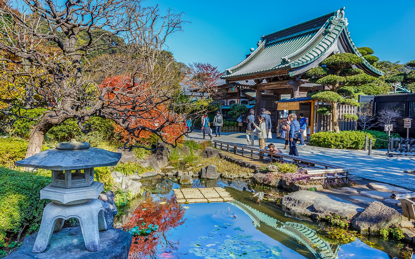 Hasedera Temple in Kamakura with traditional Japanese architecture and lush gardens.
