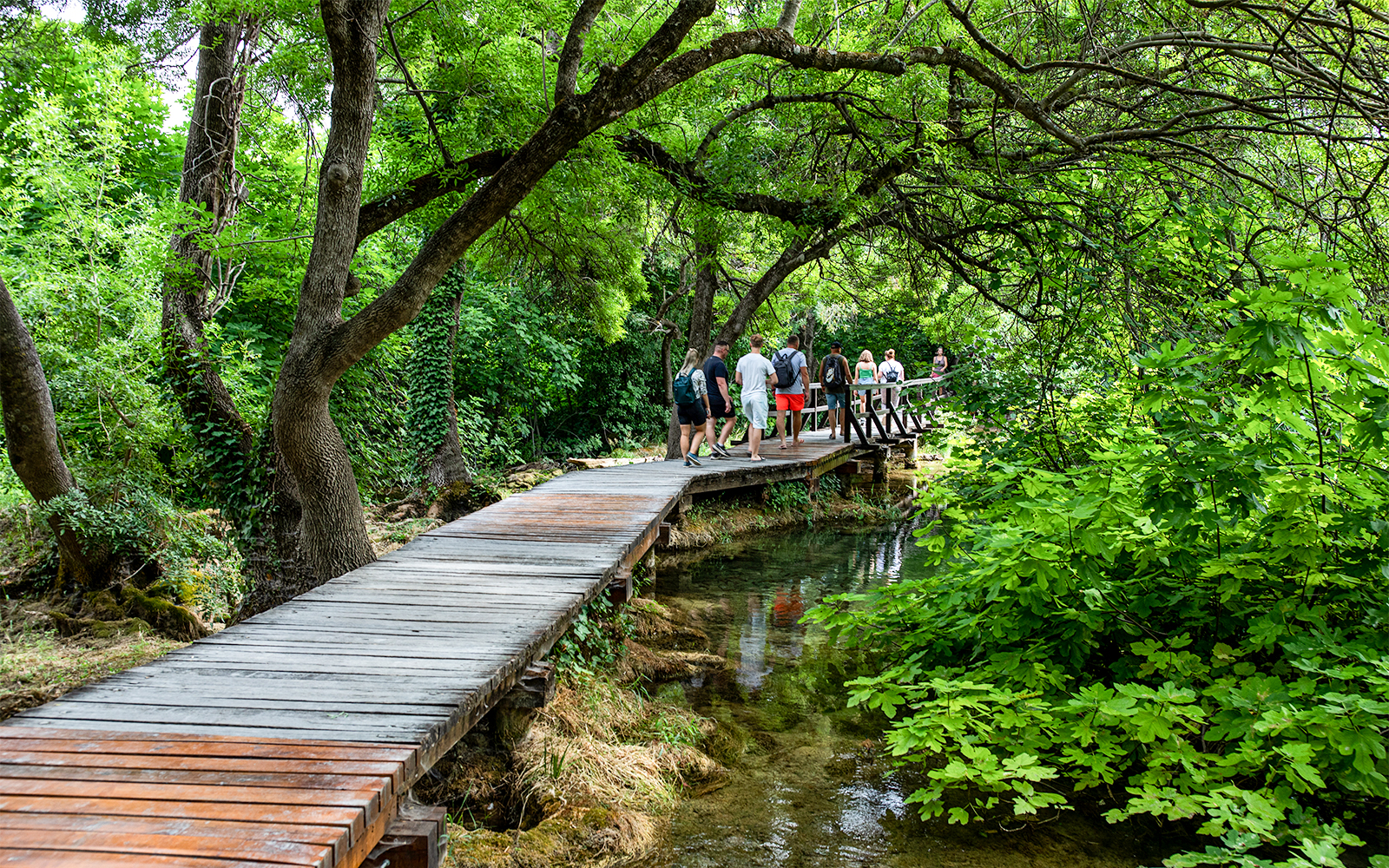People walking on a wooden path through lush greenery in Krka National Park.
