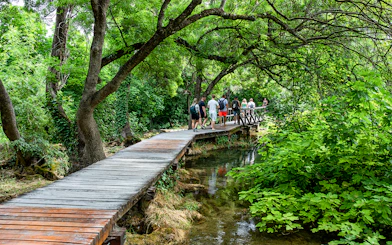 People walking on a wooden path through lush greenery in Krka National Park.