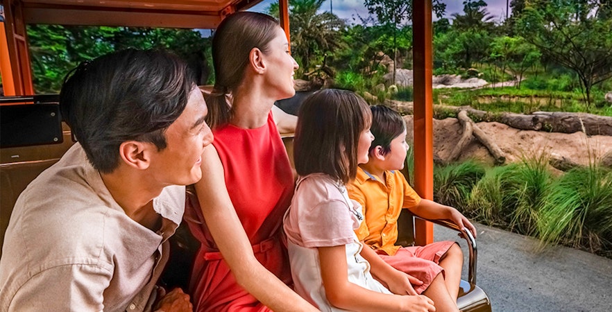 Night Safari Singapore Tickets & Tours