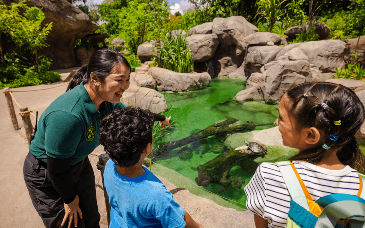 Ranger explaining pond ecosystem to children at entrance pond.