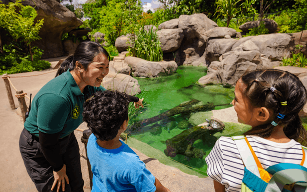 Ranger explaining pond ecosystem to children at entrance pond.