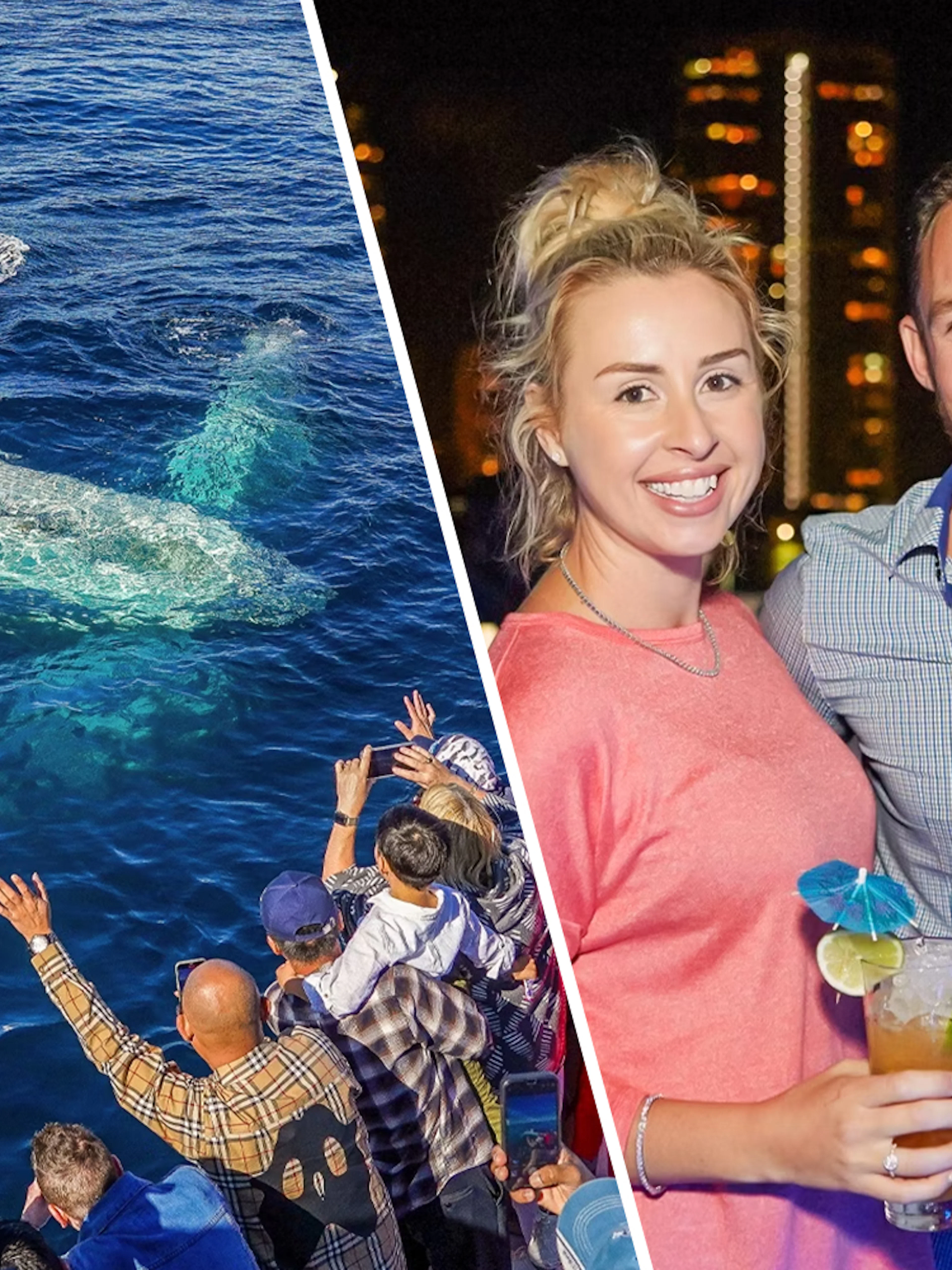 Premium Whale Watching Cruise and Premium Dinner & Sightseeing Cruise