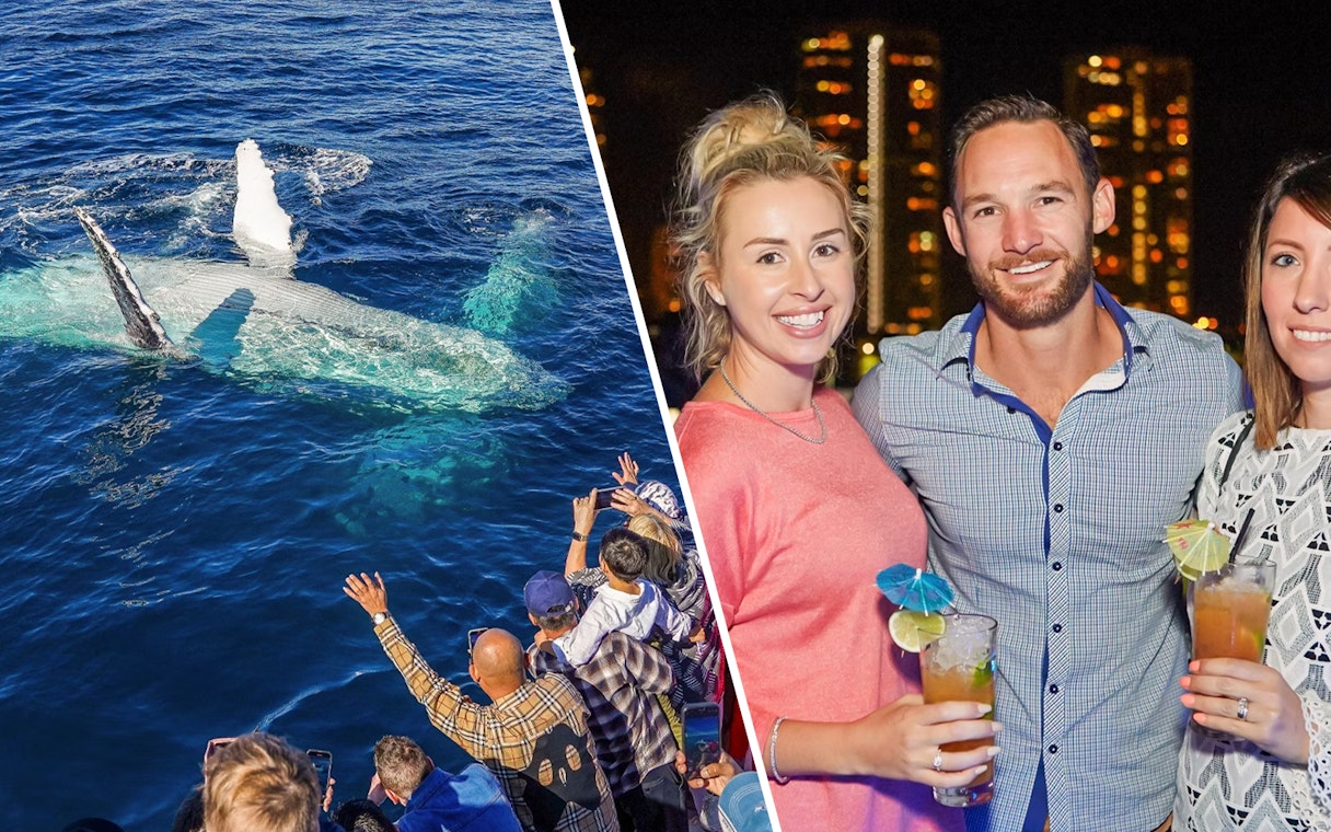 Premium Whale Watching Cruise and Premium Dinner & Sightseeing Cruise