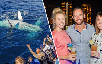 Premium Whale Watching Cruise and Premium Dinner & Sightseeing Cruise