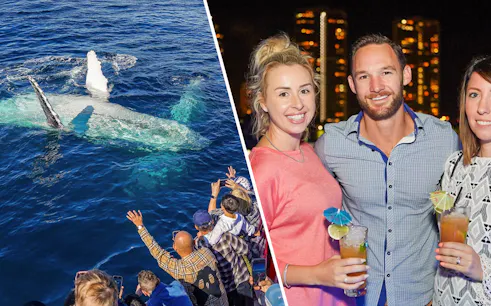 Premium Whale Watching Cruise and Premium Dinner & Sightseeing Cruise