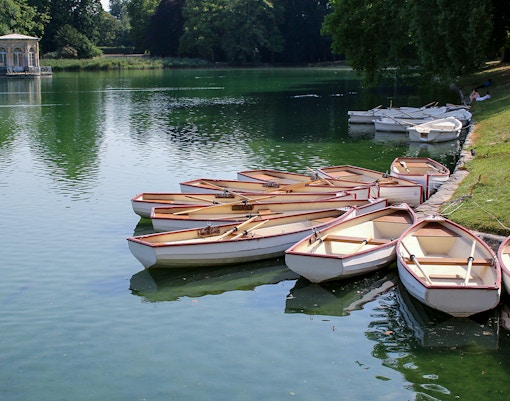 Canoes docked on a lake at Chateau de Fontainebleau, surrounded by lush greenery.