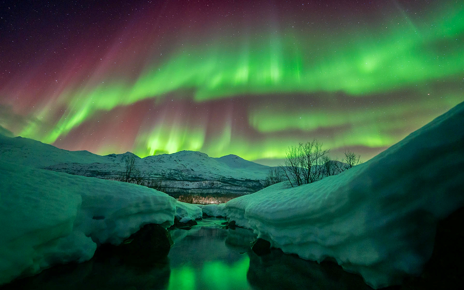 Northern lights over snowy landscape during Chase tour.