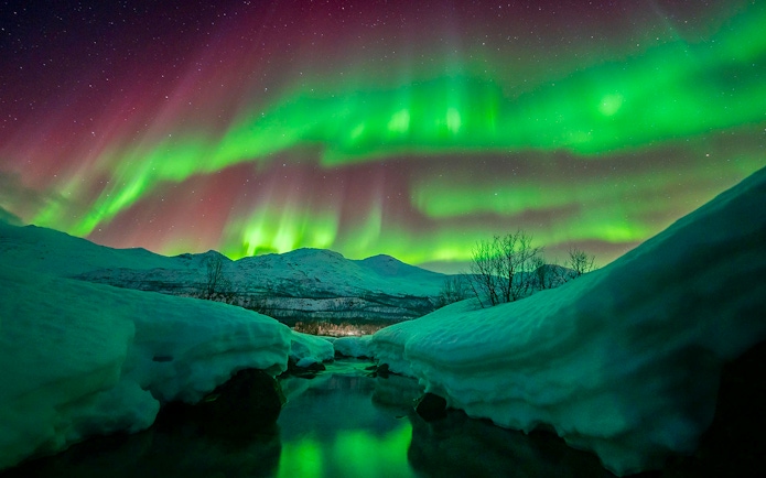 Northern lights over snowy landscape during Chase tour.