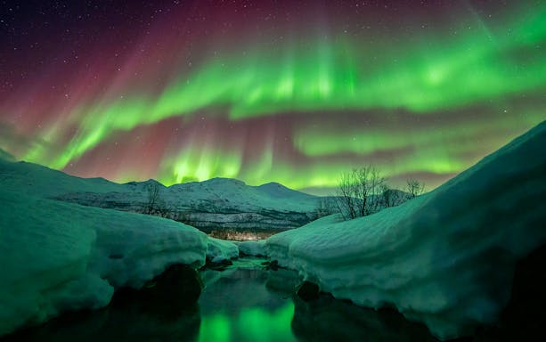 Northern lights over snowy landscape during Chase tour.