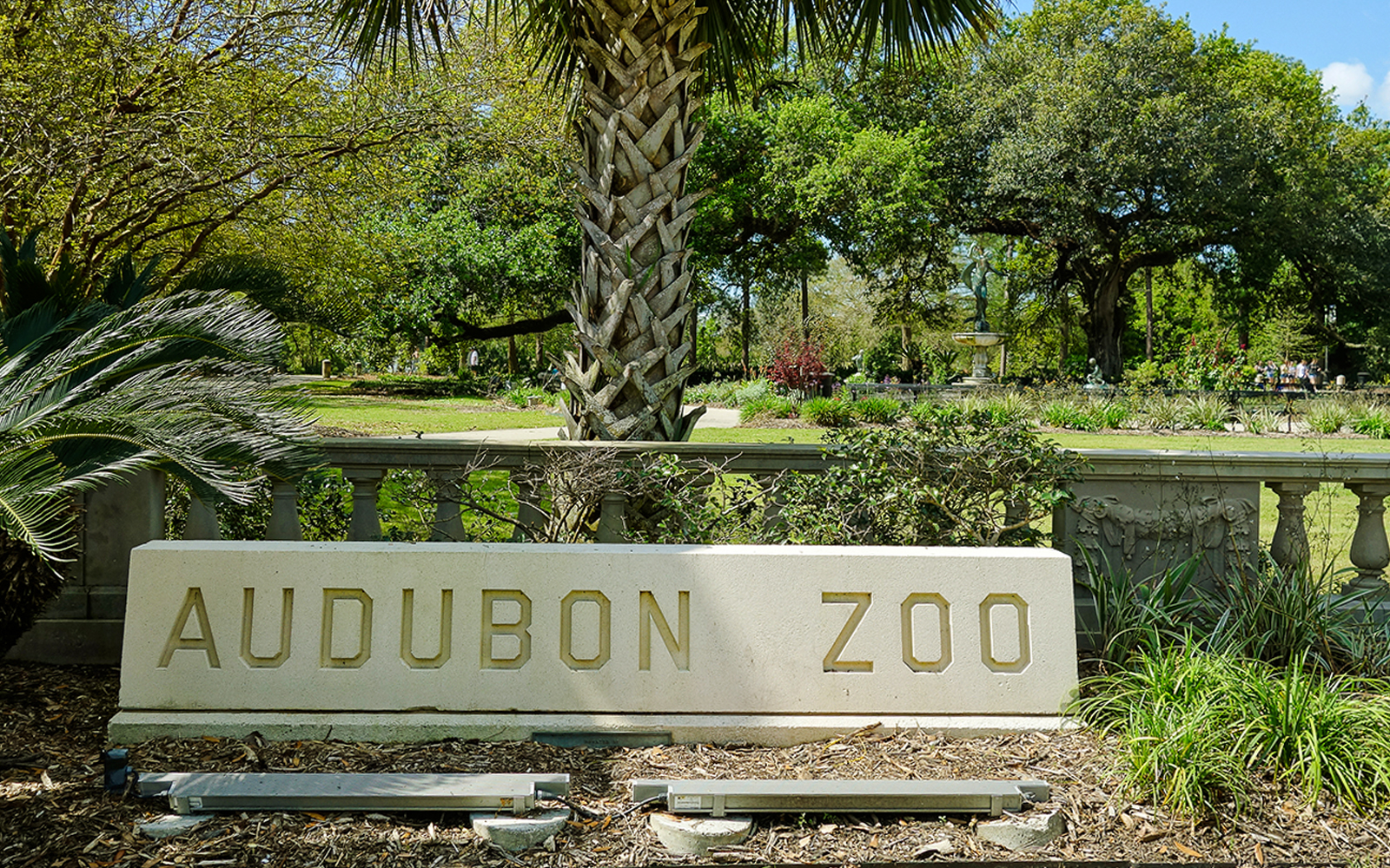 Audubon Zoo entrance sign with lush greenery in New Orleans Audubon Park.